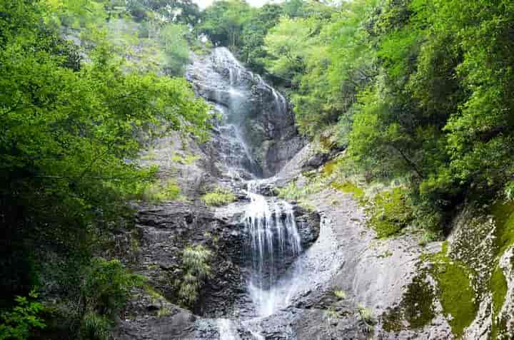 �Y��E�������